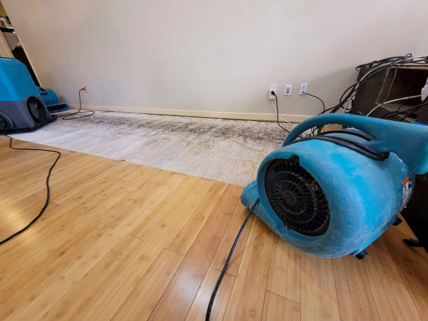 Professional Water Damage Repair technician working in Rogers, OH